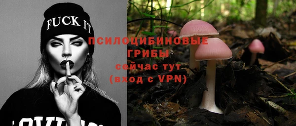 дживик Белоозёрский