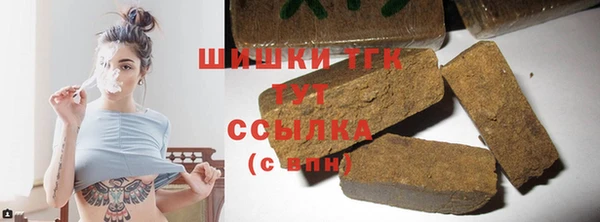 индика Беломорск