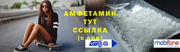 индика Беломорск