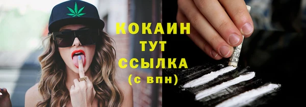 индика Беломорск