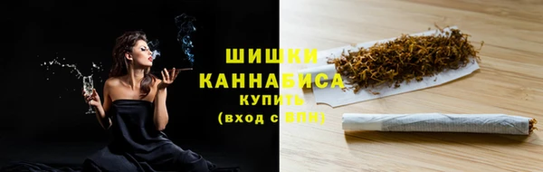 индика Беломорск