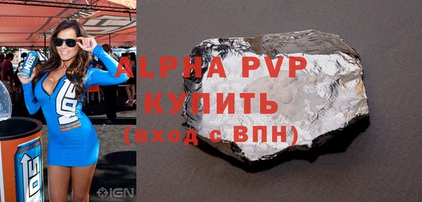 индика Беломорск