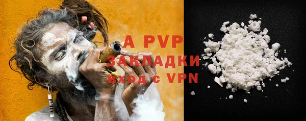 индика Беломорск