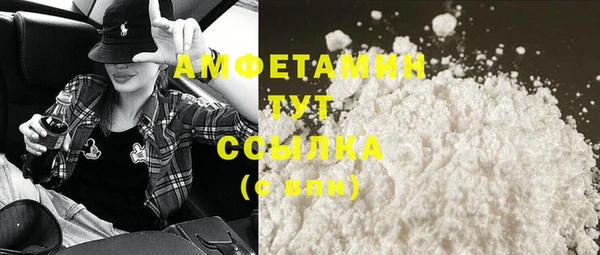 индика Беломорск