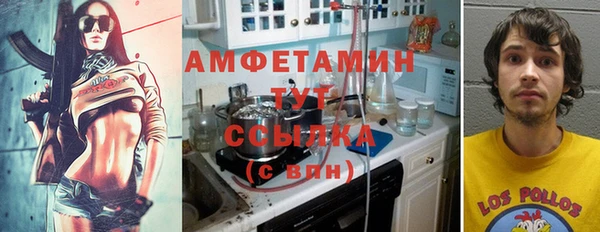 индика Беломорск