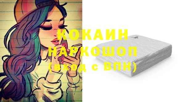 индика Беломорск