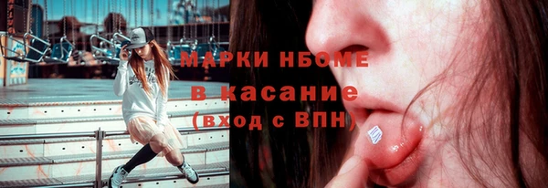 индика Беломорск