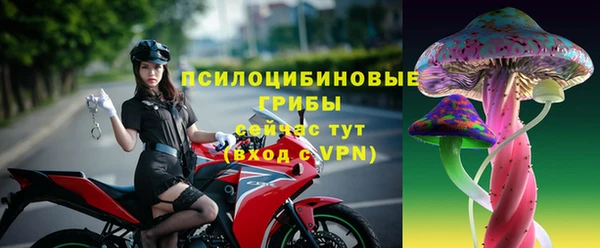 индика Беломорск