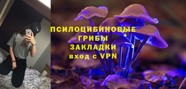 дживик Белоозёрский