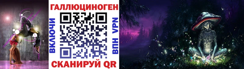 Псилоцибиновые грибы Psilocybine cubensis Бородино