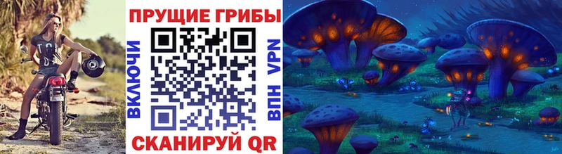 ссылка на мегу онион  Бородино  Псилоцибиновые грибы Psilocybe 